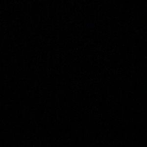 Meet your Posher, Tracey